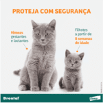 DRONTAL CATS 1,12 ML - Imagem 5