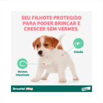 Drontal Puppy 20Ml - Imagem 2