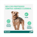 Dontral Plus | 2 Comp - Imagem 2