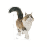 Ração Úmida Royal Canin Instinctive para Gatos Adultos Acima de 12 meses 85g - Imagem 2